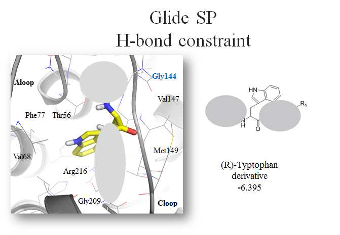 트립토판 유도체의 AQP-4에 대한 docking study