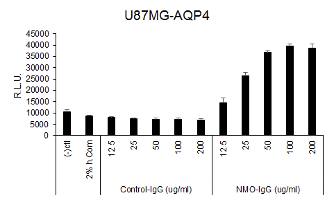 Liminoscence 측정을 이용한 NMO-IgG induced CDC 확인