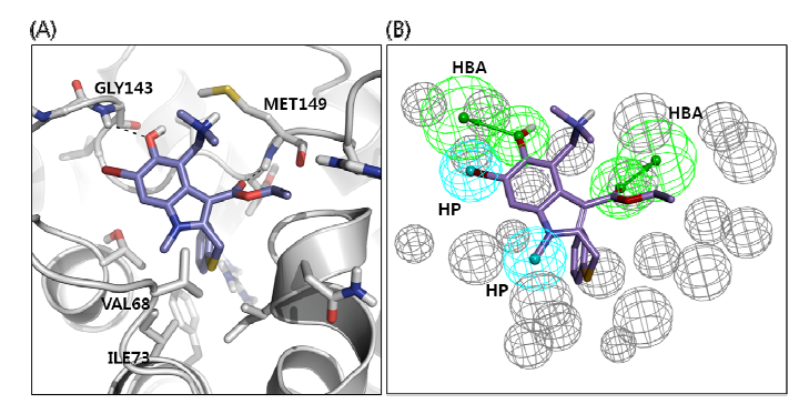 (A) Arbidol 의 human AQP4 에서의 Binding mode, (B)Arbidol 의 binding mode를 이용한 Receptor ligand interaction based pharmacophore model