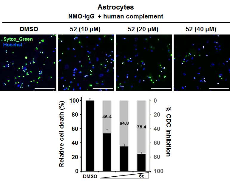 화합물 52번의 NMO-IgG와 complement에 의해 발생하는 astrocyte의 사멸을 농도 의존적으로 억제