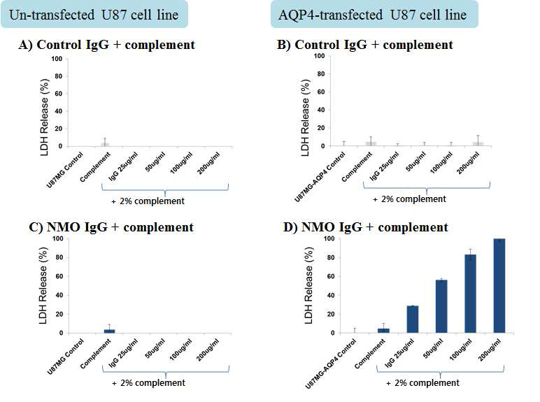 NMO-IgG와 complement에 의한 CDC는 NMO-IgG 내의 AQP4 Ab와 세포에 발현하는 AQP4와의 결합에 의한 specific 반응임