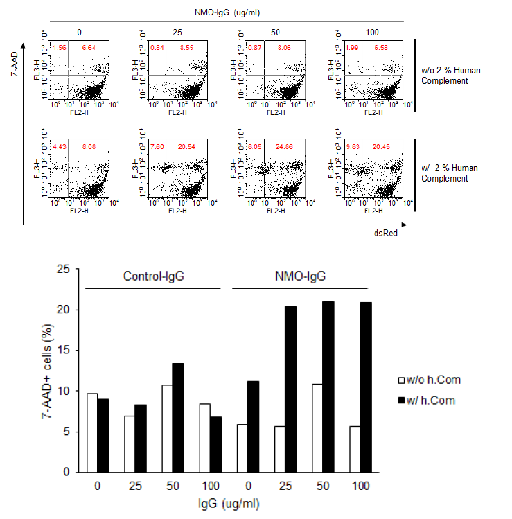 Flow cytometry를 이용한 CDC 확인