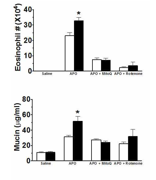 Mitochondrial 저해제 처리에 의해 감소한 천식 증상