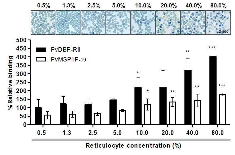PvMSP1P-19 및 PvDBP-RII의 망상적혈구 농도별 결합능 분석.