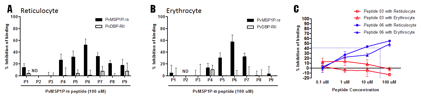 PvMSP1P-19 펩타이드에 의한 PvMSP1P-19 및 PvDBP-RII의 결합 억제력 분석