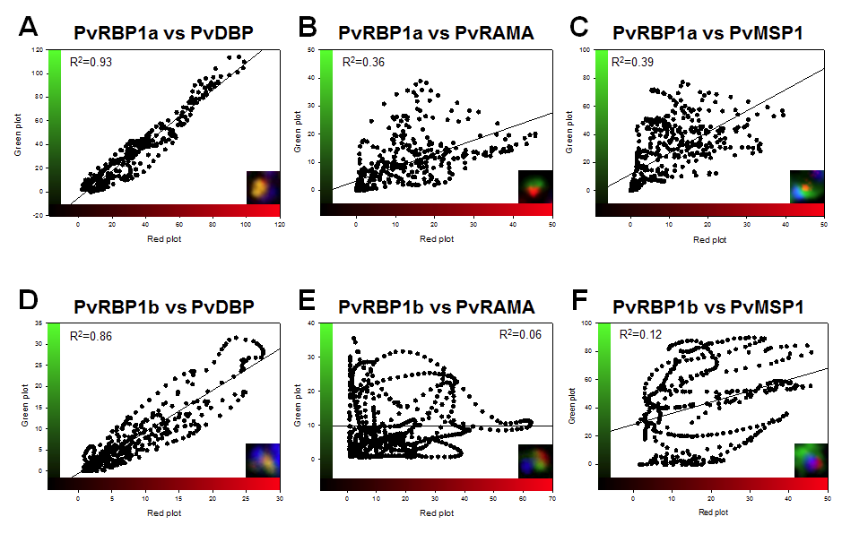 PvRBP1a 및 PvRBP1b의 2D scatter 분석