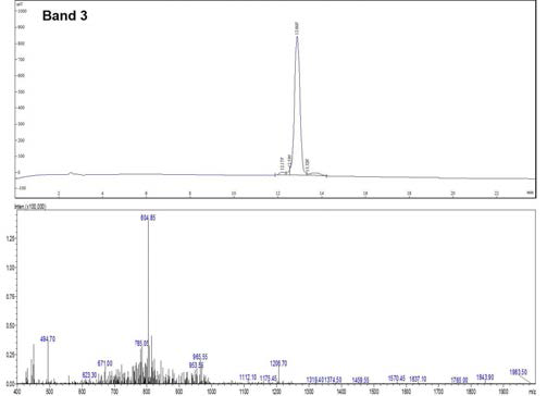 Band 3 peptide HPLC, MS report