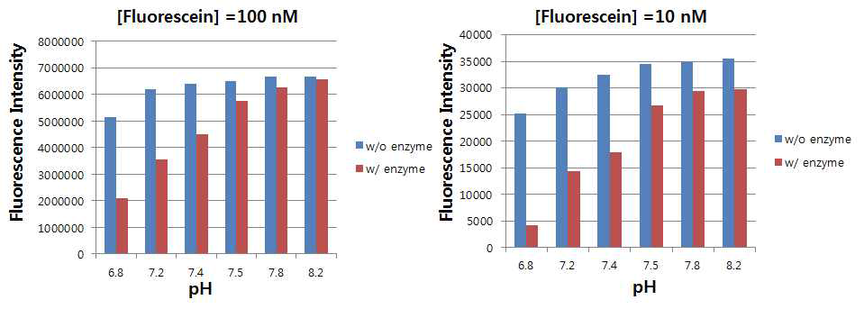 서로 다른 두 농도의 fluorescein의 베타락탐아제 어세이 완충용액의 시작 pH 따른 형광세기의 변화