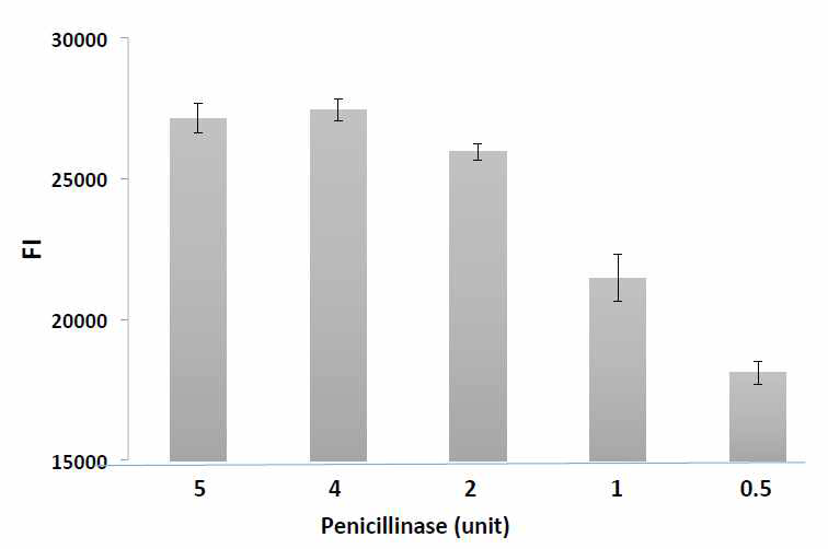 베타락탐아제(penicillinase) 농도에 따른 중합효소 반응 산물의 양 변화.