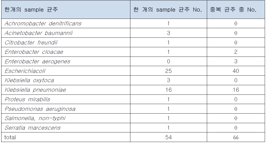 각 sample 의 균종