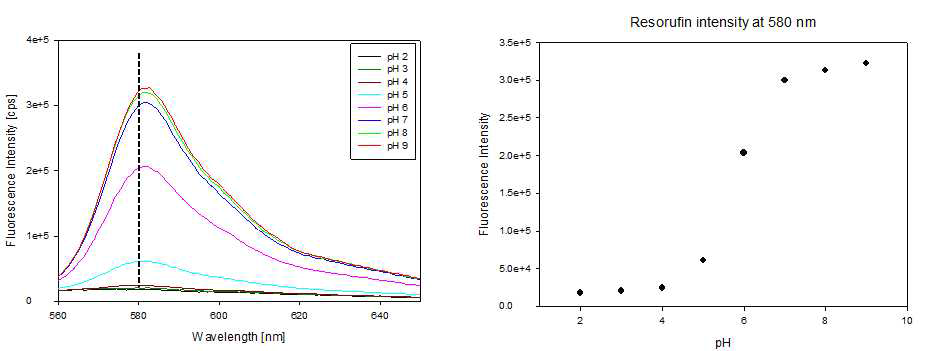pH에 따른 resorufin의 형광세기 변이