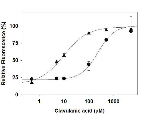 베타락탐아제 저해제인 clavulanic acid에 의한 penicillinase(원)와 TEM-1(삼각형)의 활성 저해 정도를 I-motif 프로브에 의해 측정 가능.