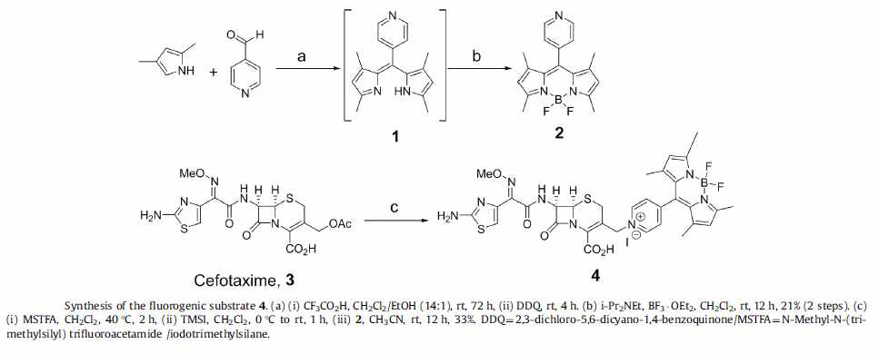 알려진 합성법에 의해 fluorogenic 프로브 (4번 화합물)을 합성하였음.