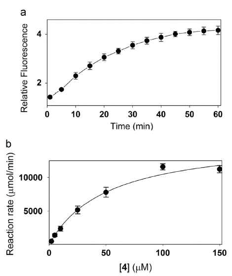 (a) 베타락탐아제 반응시간에 따른 fluorogenic 프로브의 형광세기. (b) 프로브의 농도에 따른 효소 반응 속도.