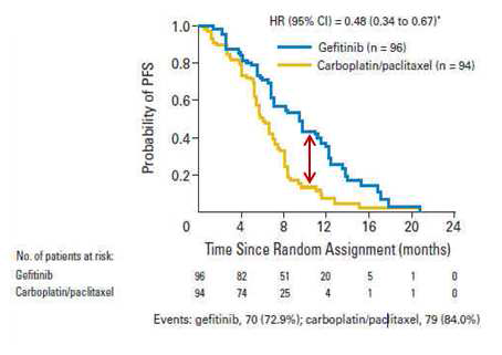 EGFR 돌연변이 폐암 환자에서 표적치료제를 통한 생존율 향상
