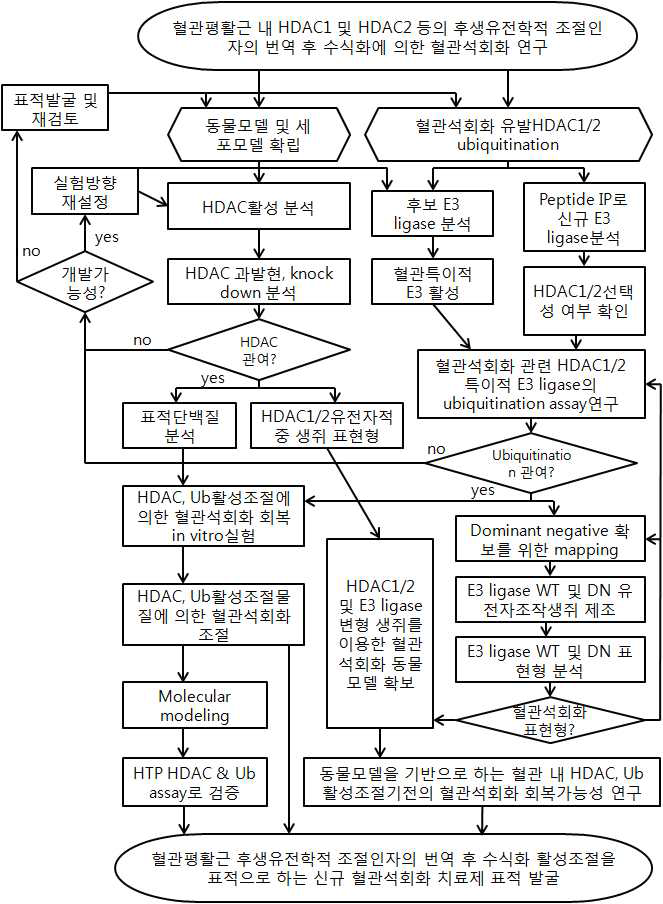 추진체계