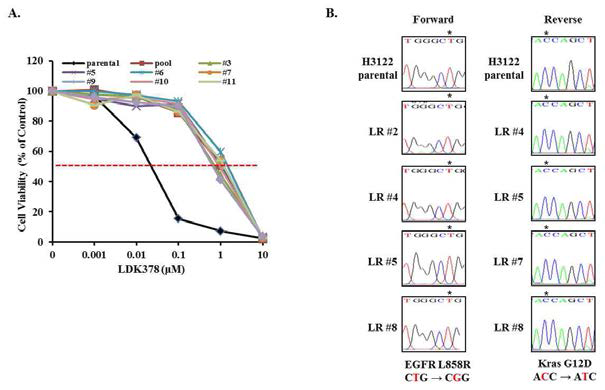 H3122-LR clone 들의 LDK378 에 대한 내성획득 확인 및, EGFR, KRAS mutation 여부 확인