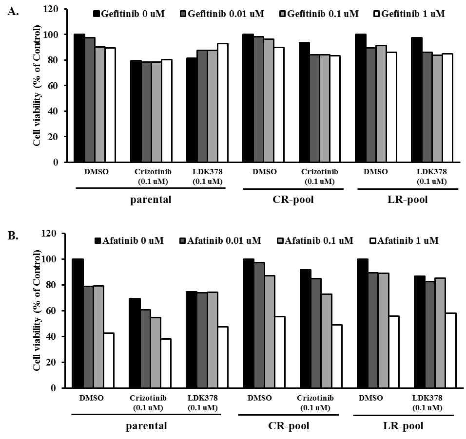 H3122, H3122-LR pool, H3122-CR pool에서 gefitinib, Afatinib 에 대한 민감도