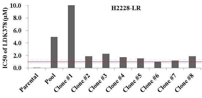 H2228-LR clone 세포주들에서 LDK378에 대한 획득 내성 여부를 MTT assay로 측정