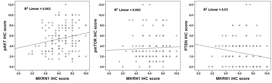 Correlation of M KRN1, pAK T , pmTOR , or PTEN expression in cervical cancers.