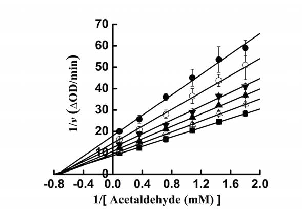 Plots of v versus [E].