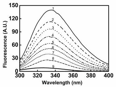 ANS-binding fluorescence of ALDH1 in the presence of HSYA.