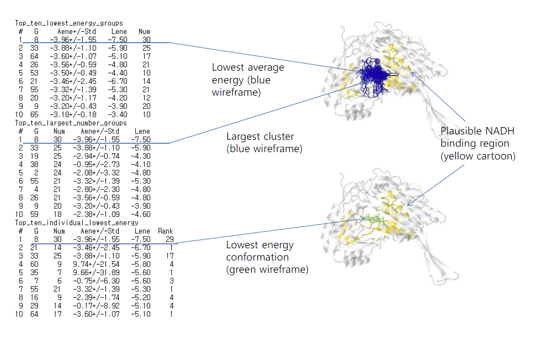 HSYA structure and docking results of ALDH1 with HSYA.