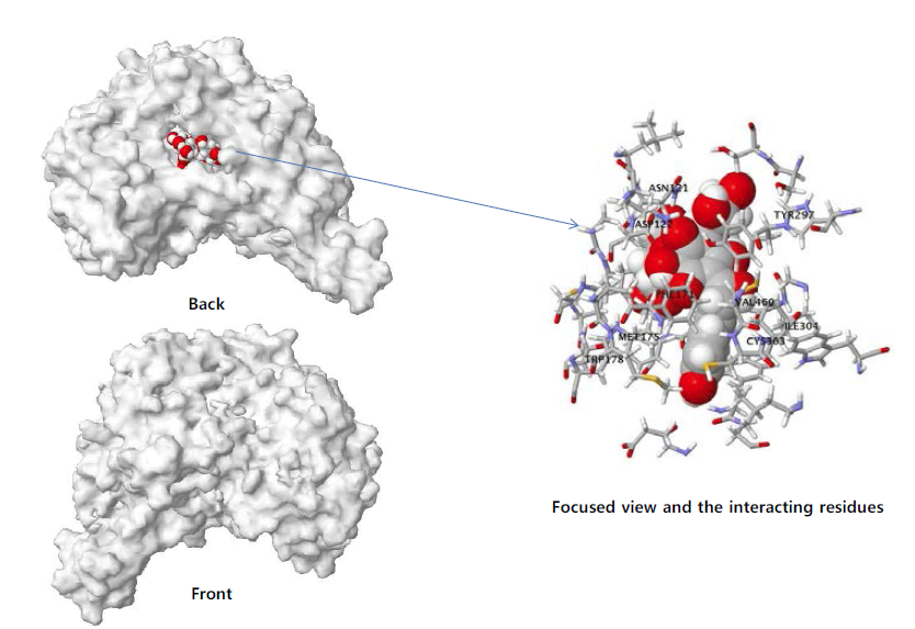 Final docking structures of ALDH1 and HSYA.