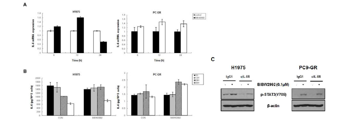 EGFR T790M mutation을 가진 비소세포폐암 세포주에서 BIBW2992 (AfatinibⓇ) 처리에 따른 IL-6의 mRNA 발현과 생성이 STAT3의 활성화에 미치는 영향