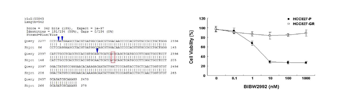 EGFR T790M 돌연변이 음성 및 EGFR T790M 돌연변이 target inhibitor BIBW2992 내성획득