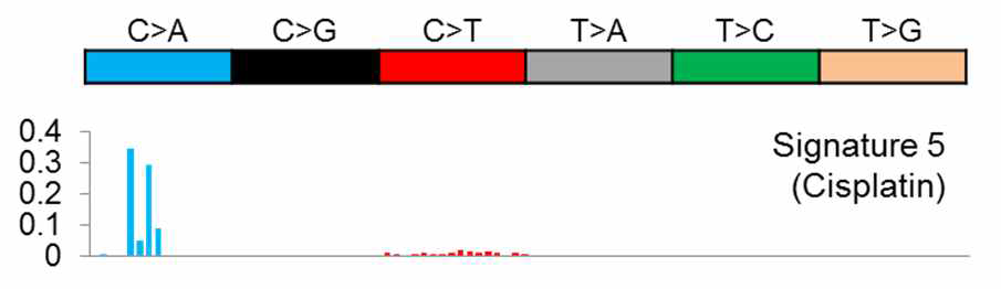 Exome sequencing에서 발견한 cisplatin 연관 mutational signature.