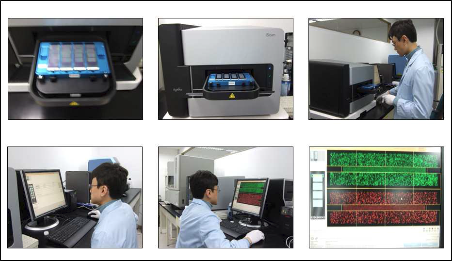 Exome Chip Scanning 현장 사진