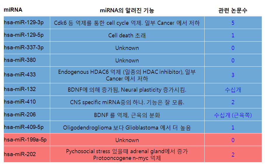 각 miRNA의 알려진 역할에대한 문헌 검색