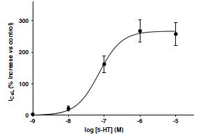 human atrial myocyte에 5-HT를 투여.