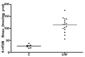 human cardiomyte. Congestive heart failure에서 대조군에 비하여 5-Ht2b receptor의 발현도가 높다.