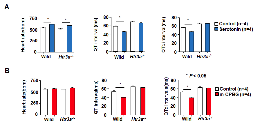 Serotonin 및 Htr3 agonist, m-CPBG, 에 의한 QT 간격의 감소.