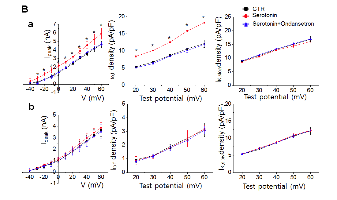 Total potassium outward current.