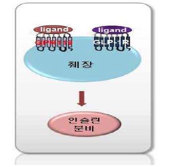 GPR119 활성화제에 의한 효능