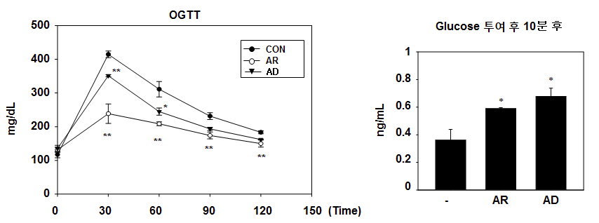 Angelica dahurica : AD를 전처치 한 동물에서 포도당 내당능 (왼쪽), 및 인슐린 분비능 검증 (오른쪽), ** p < 0.01: *p < 0.05, Control (PBS 경구 투여)군 대비 n=13-15