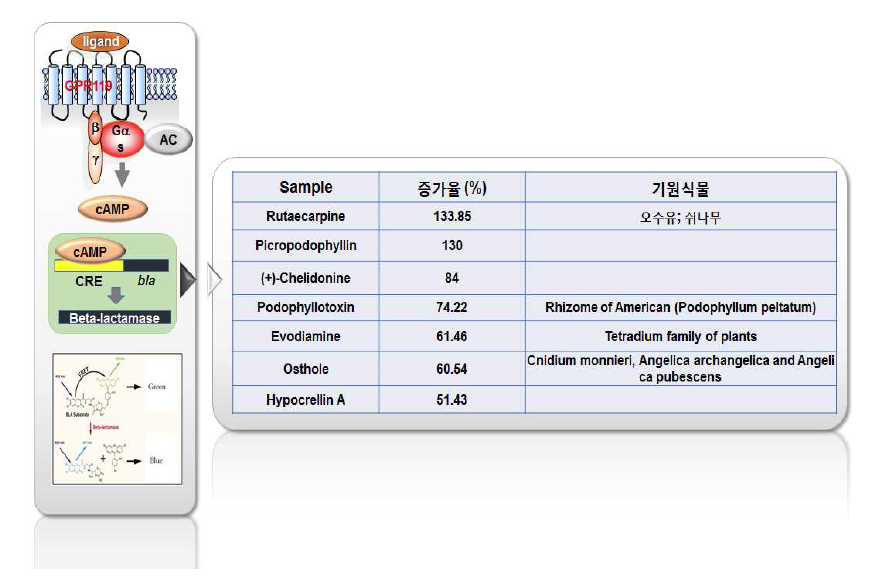 GeneBLAzer T-Rex GPR119 CHO-K1 스크리닝 시스템을 활용한 천연물 유래 단일물질 스크리닝 결과