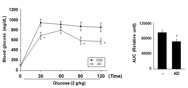 Angelica dahurica : AD를 전처치 한 db/db 동물에서 포도당 내당능 (왼쪽), area under the curve (오른쪽), ** p < 0.01: *p < 0.05, Control (PBS 경구 투여)군 대비 n=7-9