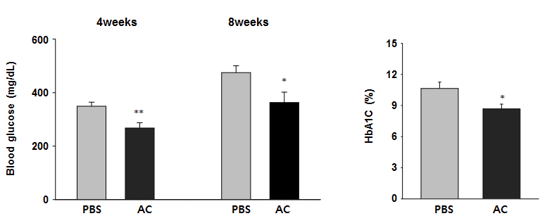 당뇨 병리 동물모델에서 Aeschynanthus acuminatus (AC)의 장기 처리 효과 : AC처리하고 4주 및 8주 후 공복 혈당 (왼쪽), AC 처리하고 8 주 후 HbA1C 효과 관찰 (오른쪽), ** p < 0.01: *p < 0.05, Control (PBS 경구 투여)군 대비 n=6-7