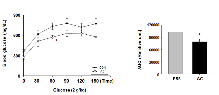당뇨 병리 동물모델에서 Aeschynanthus acuminatus (AC)의 장기 처리에 의한 포도당 내당능 개선 효과 : *p < 0.05, Control (PBS 경구 투여)군 대비 n=6-7
