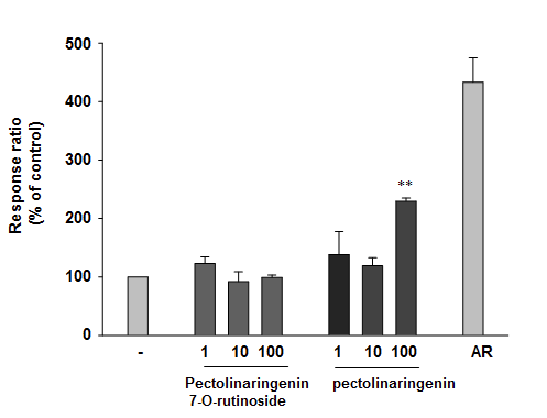 AC의 주요 성분인 Pectolinaringenin 7-O-rutinoside 및 pectolinaringenin 의 GPR119 활성에 미치는 영향 관찰