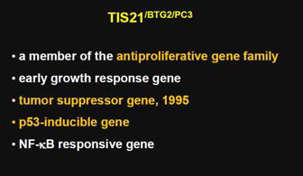 Role of BTG2