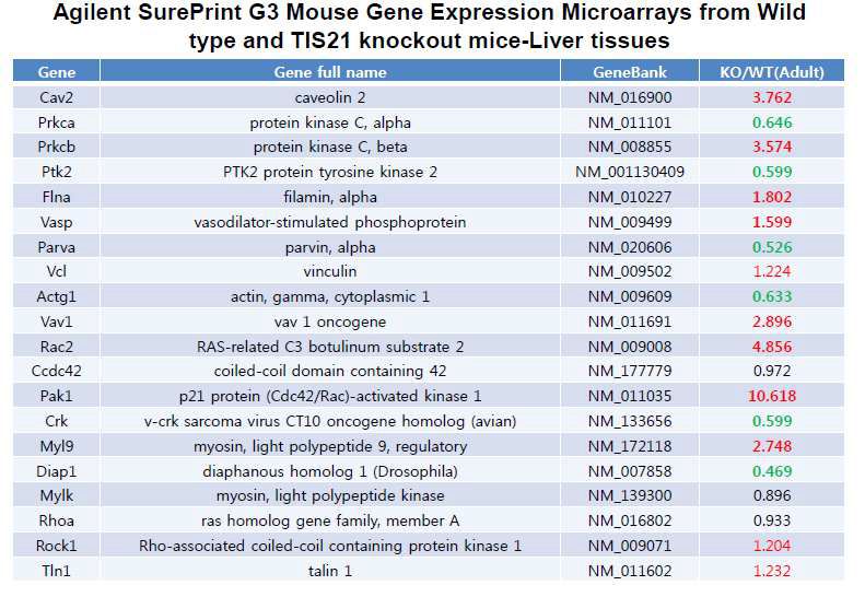 Agilent SurePrint G3 Mouse Gene Expression Microarrays from wild type and TIS21 knockout mice-liver tissues