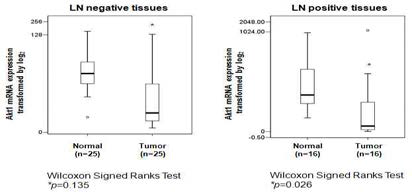 Significant downregulation of Akt1 expression in breast tumor tissues with lymph node-positive compared with those in the matched normal tissues. A Wilcoxon signed-rank test was used to determine the significance.