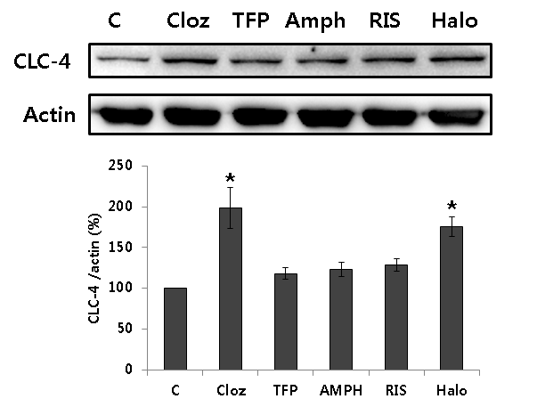 Clozapine and haloperidol induce CLC-4 expression in U87 cells