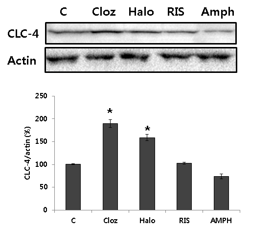 Clozapine and haloperidol induce CLC-4 expression in SH-SY5Y cells