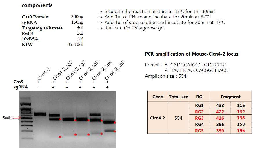 Mouse CLC4 in vitro digestion assay